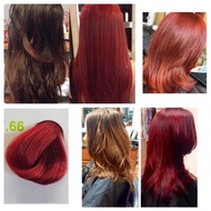 Home Wine Red Blonde Hair Color Cream 7/66 Medium Intense Red Blonde Hair Color Cream