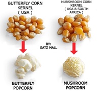 【HALAL】POP CORN KERNEL BERTIH JAGUNG MUSHROOM &amp; BUTTERFLY