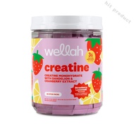 Wellah Creatine Stick Packs | 30 Serving On-The-Go Supplement Creatine Monohydrate Supplement | Crea