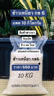 ข้าวเหนียว กข6 ข้าวเหนียวใหม่ ข้าวนาปี 2566 ชาวนาร้อยเอ็ด บรรจุ 10 กิโลกรัม ราคาเพียง 550 บาท ข้าวสา