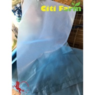 +Fruit Protection Plastic Bag | Pembalut Plastik bag Buah-buahan Jambu Batu (±1KG) Citi Farm