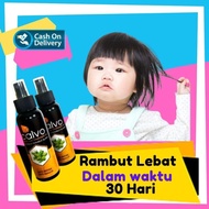 TERBARU PENUMBUH RAMBUT BAYI PENUMBUH RAMBUT ANAK PENUMBUH RAMBUT