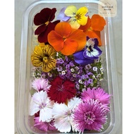 Fresh mixed flowers for Edible decoration/ Edible Flower (Chrysanthemum, pansy, viola,..)