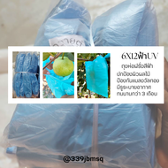ถุงห่อผลไม้ ถุงห่อฝรั่งสีฟ้าUVสำเร็จรูป 10 ห่อ  6x14นิ้ว บรรจุประมาณ950 ใบ ถุงป้องกันแดดUV ถุงป้องกั