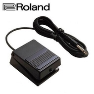 Roland DP-2 Keyboard/Piano Damper Pedal (DP2)