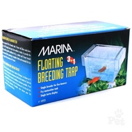 marina floating breeding box guppy dan ikan laga