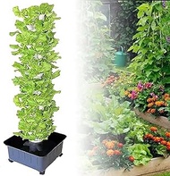 Hydroponic Growing Kits Garden Hydroponics Growing System ｜Hydroponics Growing System For Indoor Herbs,Fruits And Vegetables Aeroponic Tower, Seeding Bed Net Pots