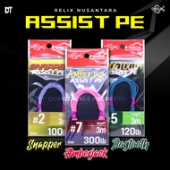 PE Assist Line AMBER JACK RED SNAPPER DOG TOOTH RELIX NUSANTARA Jigging Pink Kevlar Hollow Assist Ho