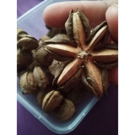 BIJI BENIH SACHA INCHI @ SACHA INCHI SEEDS