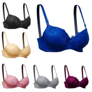 Elena Push Up Bra Small Cup E 24536 Size 32A-36A