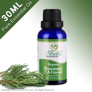 Biolife Organic Rosemary 100% Pure Aromatherapy Natural Organic Essential Oil (30ml Single-Note Oil) suitable use for Diffuser Humidifier Massage Skin Care