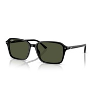 R RAY BAN Raimond RB2231F 901/31 Sunglasses