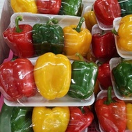 สดจากสวน (Sweet peppers) พริกหวาน 3สี สด สะอาด เราคัดสรรวัตถุดิบอย่างดีมาเพื่อคุณ ราคา ส่ง ถูก