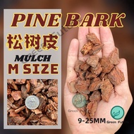 5 Litre M size PINE BARK/ Pine scale Orchid potting  MURCH Pine Bark  murching  松鳞松树皮 树皮 1kg 9-25mm