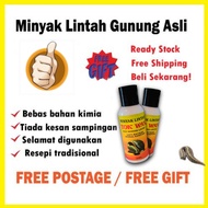 Minyak Lintah Jawa Asli Original Ready