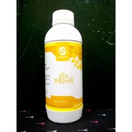 XTRA YELLOW N 1 LITER