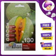 BENIH JOM TANAM JT130 (10 SEEDS) ROCKY ROCK MELON SEEDS/ROCK MELON/ 岩石甜瓜种子