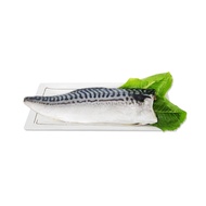 【老爸ㄟ廚房】大片正宗挪威鯖魚(200-220g)-共10片組
