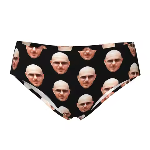 Women's Cute Underwear Brief Pitbull Mr Worldwide Accessories Cozy Ladies Panties Briefs