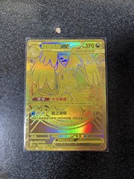 繁中ptcg mega快龍EX MUR