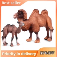 Camel Toys Figurines Wild Animal Model Llama Toys for Nature Science Learning,Wildlife Theme Party S