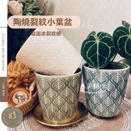 Senmei Zhizhi/Flowerpot/Pottery Pot/Pottery Cracked Small Leaf Pot/Ice Pottery Pot/Flowerware/Pot/Va