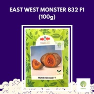 East West Monster 832 F1 (100g) | Benih Labu | Labu Monster | Labu Manis | 南瓜种子