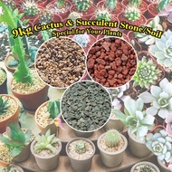 9 KG CACTUS AND SUCCULENT STONE SOIL SPECIAL FOR ALL TYPES SUCCULENTS PLANTS