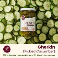 Hyo Gherkin Pickled Cucumber 酸腌黄瓜 (300g/1kg) Homemade Fresh Sour Cucumber Pickles Jeruk Timun