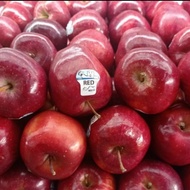 buah apel red del 1 kg