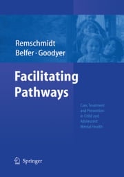 Facilitating Pathways Myron Belfer