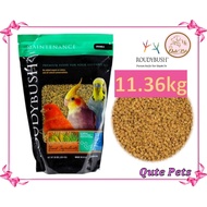 Roudybush Maintenance Crumble 11.36kg for Parrot Bird Feed