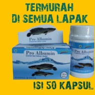 Pro albumin - Extra ikan gabus - ikan Kutuk ORIGINAL