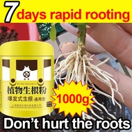 1000g【Rooting fertilizer】Plant Root Rooting Hormone Powder rapid rooting powder for plants rooting p