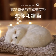 Send Valentine's Day Girlfriend Girlfriend Girlfriend Girlfriend Send Gift for Boyfriend Birthday Gi