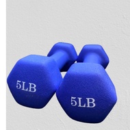 5 LBS X 2PIECES dumbbell set exercise equipment workout equipment dumbbell fitness