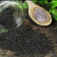 Basil Seeds Basil Seeds Basil Seeds 100GR -