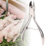 Piglet stainless steel tooth cutting pliers Broken forceps for veterinary