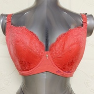 34F/75F, 36F/80F BRAHMIN PLUS SIZE BRA WIRED