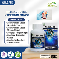 Obat Kreatinin Tinggi Obat Kadar Kreatinin Tinggi Obat Ureum Tinggi Memperbaiki Fungsi Ginjal Dengan