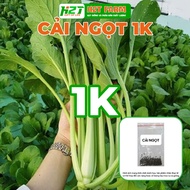 Choysum seeds are easy to grow and easy to grow - h2t farm