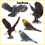 LANHUA 1/2/5Pcs Simulation Bird Models, Realistic Hand Painted Bird Animals Figurines, Kids Toys PVC