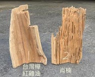 台灣肖楠/台灣櫸(紅雞油)立體錐木/造景.鹿角覺的素材