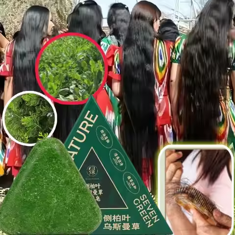 Thuja Orientalis Leaf Shampoo Soap Herbal Extract Anti-hair Loss Oily Scalp Care Dandruff Uxmal Gras