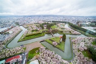 北海道旅遊｜春櫻綻放！五稜郭.函館纜車.OUTLET.小樽.浪漫花火.三大螃蟹溫泉五日｜一晚五星三晚溫泉