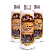 Shampo Caviar 250ml Original - Shampo Kuda Caviar