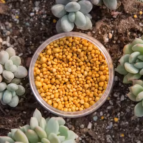 250g Plant Fertilizer, Slow Release Bonsai Plant Potting Succulent Compound Fertilizer General Veget