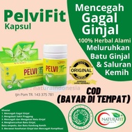 Obat Batu Ginjal Herbal Peluruh Batu Dalam Ginjal dan Saluran Kemih Ampuh Pelvifit Original Manjur