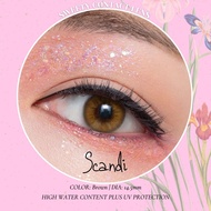 SCANDI BROWN Power 0~1000 Contact Lens 14.2mm