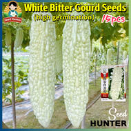 High Yield Fresh White Bitter Gourd Seeds Long Ampalaya Seeds for Planting Vegetables (Fast Growing 